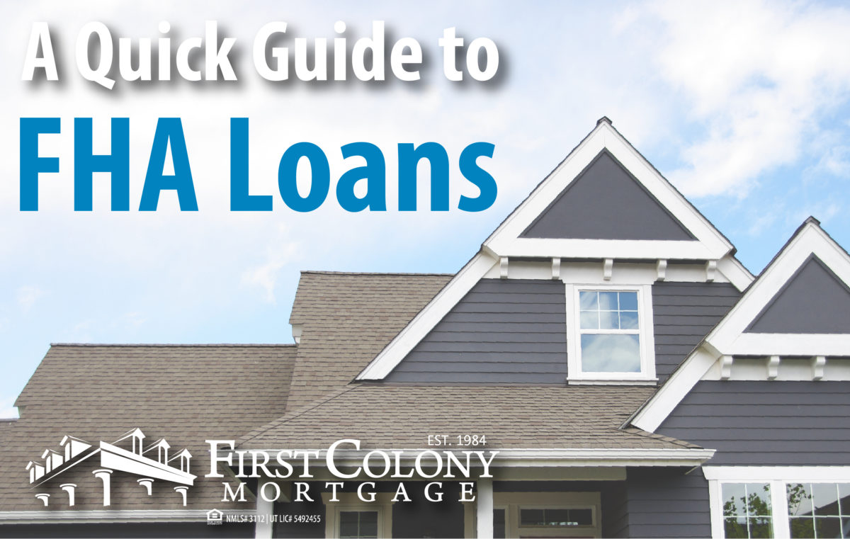 money now payday loans lafayette, co
